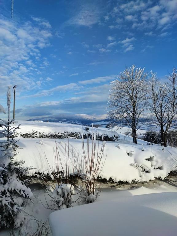 Hotel Kacenka Králíky Bagian luar foto