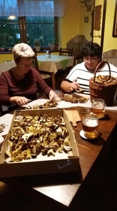 Hotel Kacenka Králíky Bagian luar foto